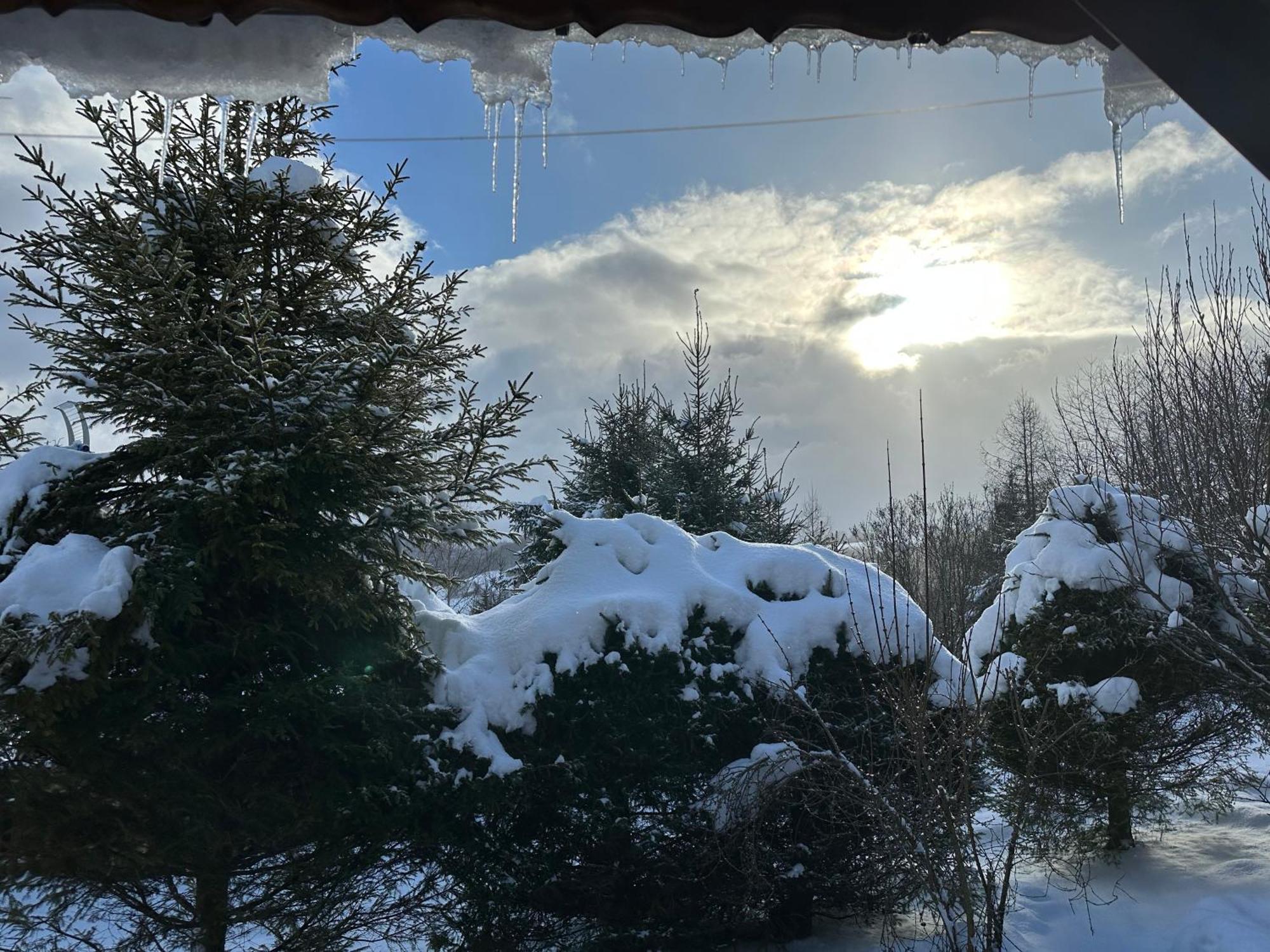 Urocza Chata Z Sauna W Bieszczadzkim Parku Krajobrazowym Bukowiec  Bagian luar foto